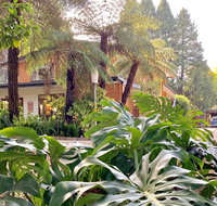 Warburton Motel - New South Wales Tourism 