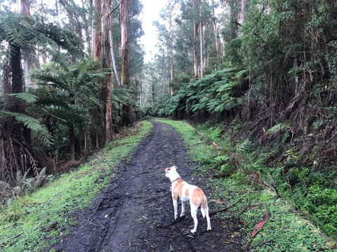 Warby Weekender - New South Wales Tourism  3