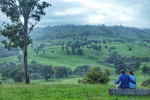 Waterfall Way Farmstay - New South Wales Tourism  2