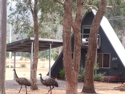 The A-Frame - New South Wales Tourism  9