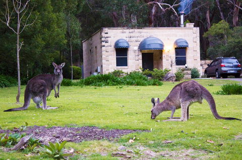 Marwood Villas - New South Wales Tourism  31