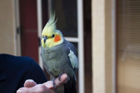 Marwood Villas - New South Wales Tourism  33