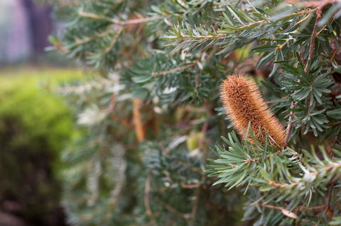 Marwood Villas - New South Wales Tourism  34