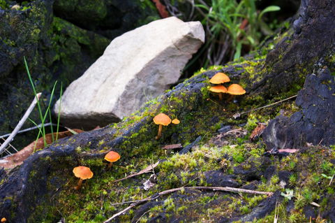 Marwood Villas - New South Wales Tourism  29