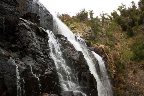 Marwood Villas - New South Wales Tourism  38