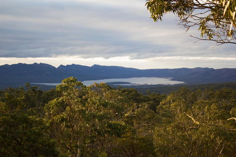 Marwood Villas - New South Wales Tourism  32