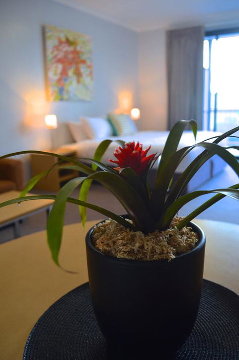 Mansfield Apartments - New South Wales Tourism  21