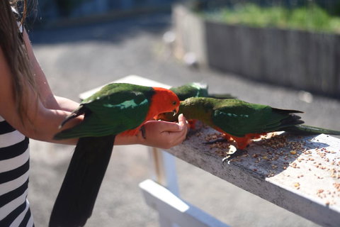 Seacroft Estate - New South Wales Tourism  13