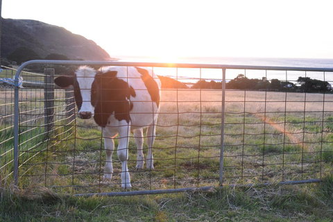 Seacroft Estate - New South Wales Tourism  19