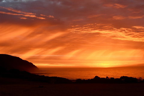 Seacroft Estate - New South Wales Tourism  4