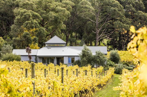 Polperro Villas - New South Wales Tourism  22