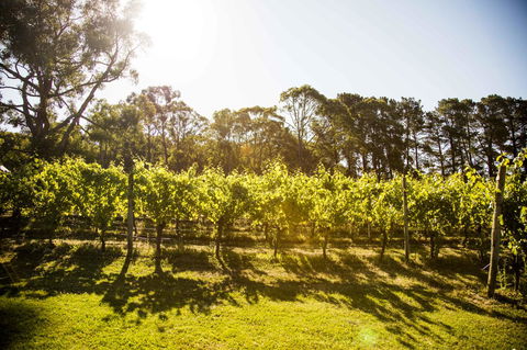 Polperro Villas - New South Wales Tourism  18