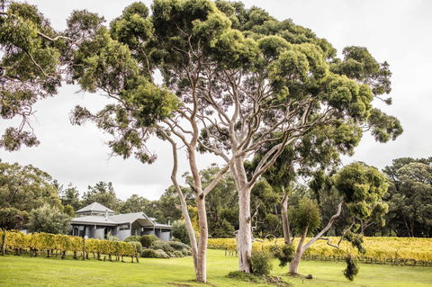 Polperro Villas - New South Wales Tourism  20