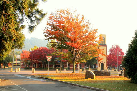 3 Bells Alpine Cottage - New South Wales Tourism  23
