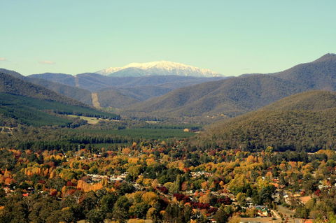 3 Bells Alpine Cottage - New South Wales Tourism  24