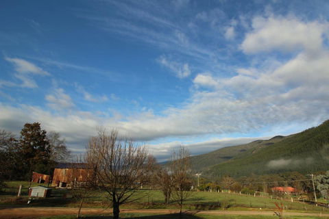 3 Bells Alpine Cottage - New South Wales Tourism  26