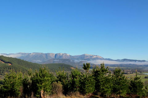 3 Bells Alpine Cottage - New South Wales Tourism  22