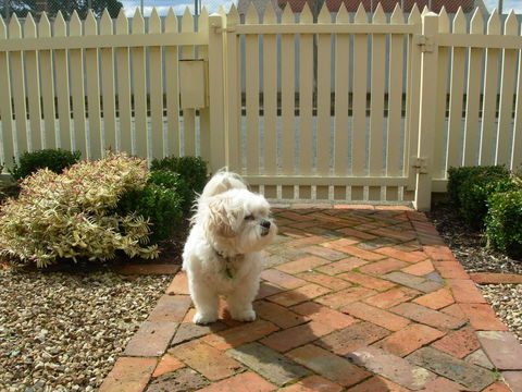 Sabina On Little Myers - New South Wales Tourism  24