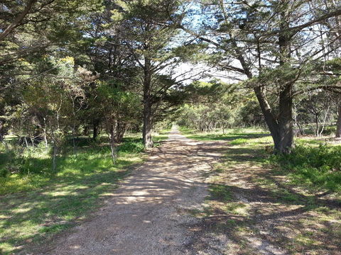 Torquay Timeout - New South Wales Tourism  21