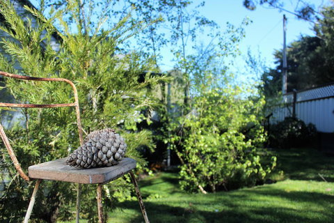 Cottage 4A - New South Wales Tourism  13