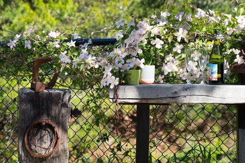 Cottage 4A - New South Wales Tourism  4