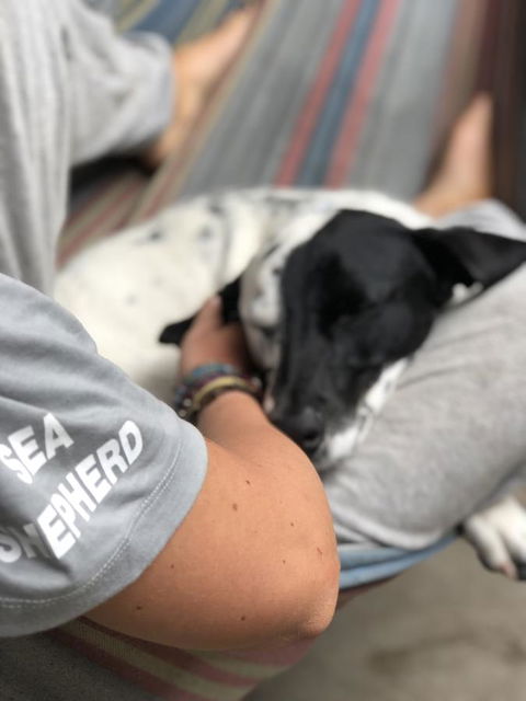 Backpackers At 1770 - New South Wales Tourism  15