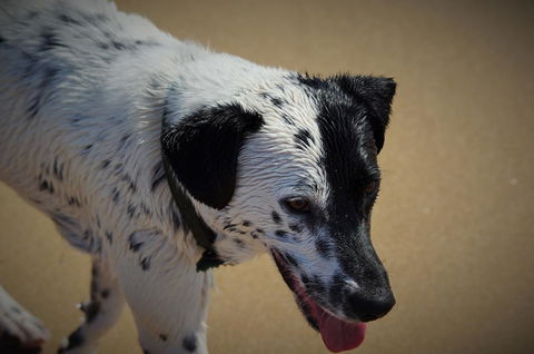 Backpackers At 1770 - New South Wales Tourism  21