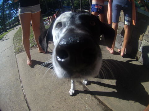 Backpackers At 1770 - New South Wales Tourism  2