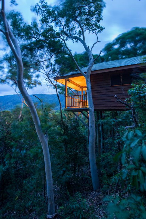 Thala Beach Nature Reserve - New South Wales Tourism  19