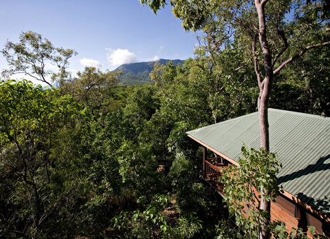 Thala Beach Nature Reserve - New South Wales Tourism  18