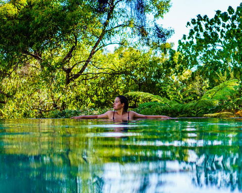 Rainbow Ocean Palms Resort - New South Wales Tourism  5