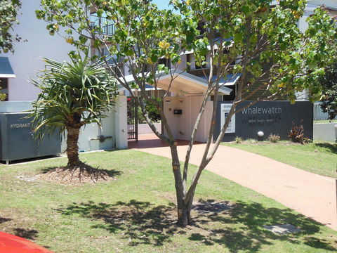 Whale Watch Ocean Beach Resort - New South Wales Tourism  14