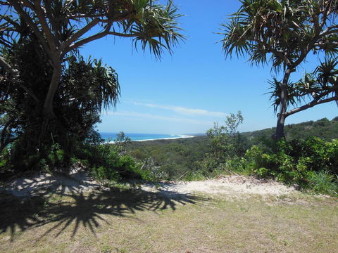 Whale Watch Ocean Beach Resort - New South Wales Tourism  3
