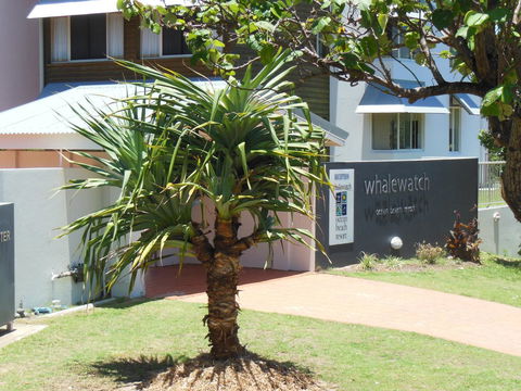 Whale Watch Ocean Beach Resort - New South Wales Tourism  15