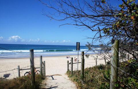Alex Beach Cabins And Tourist Park - New South Wales Tourism  13