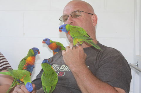 Amaroo On Mandalay, Magnetic Island - New South Wales Tourism  33