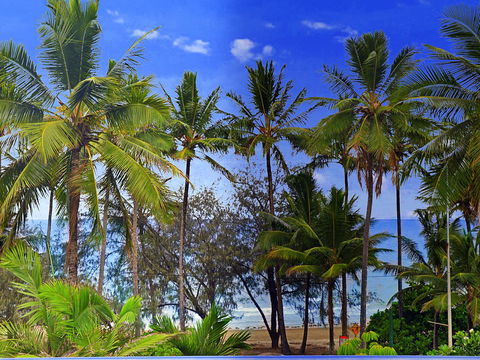 By The Sea Port Douglas - New South Wales Tourism  3
