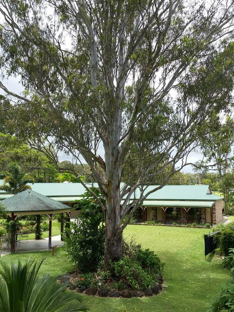 The Bearded Dragon Boutique Hotel - New South Wales Tourism  32