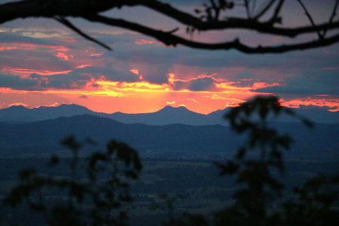 The Polish Place - New South Wales Tourism  4