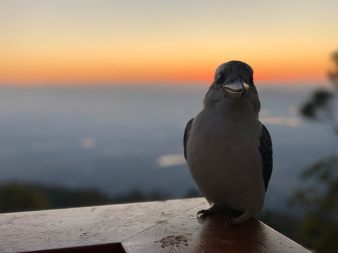 The Polish Place - New South Wales Tourism  2