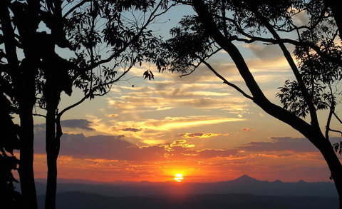 The Polish Place - New South Wales Tourism  20