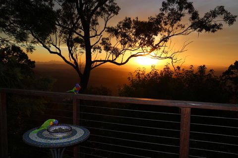 The Polish Place - New South Wales Tourism  17