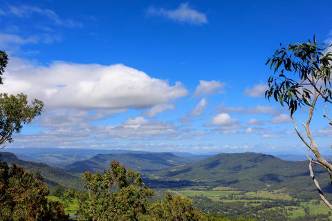 The Polish Place - New South Wales Tourism  19