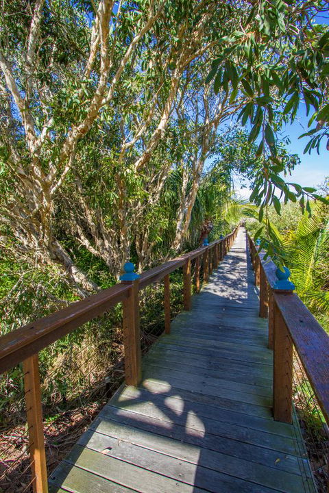 Agnes Sails - New South Wales Tourism  8