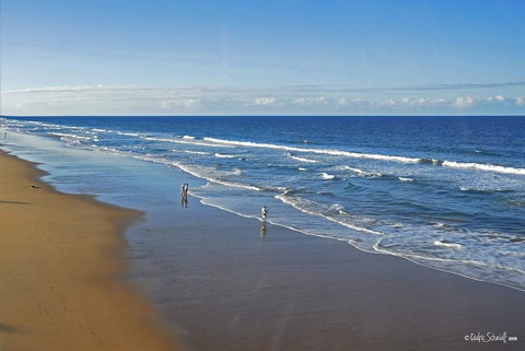 Agnes Sails - New South Wales Tourism  29