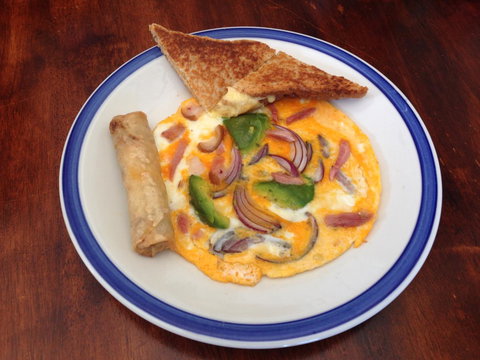 XYL Pets Friendly Seaside Boutique Guesthouse - New South Wales Tourism  38