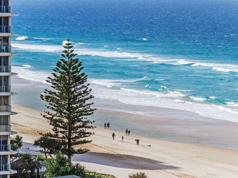 Sunbird Beach Resort Main Beach - New South Wales Tourism  27