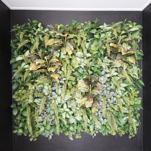 Riviera Mackay - New South Wales Tourism  22