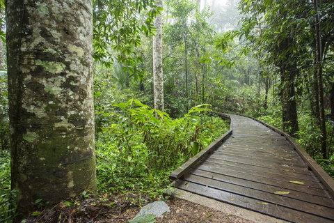 Riviera Mackay - New South Wales Tourism  25