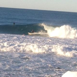 Oceania On Burleigh Beach - New South Wales Tourism  27